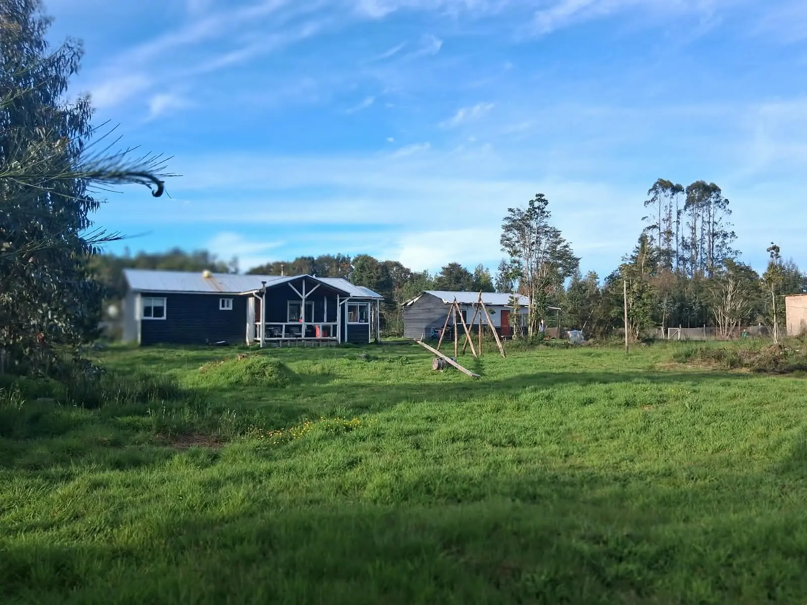 La casa y su terreno de pasto verde
