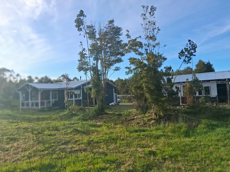 La casa entre los árboles