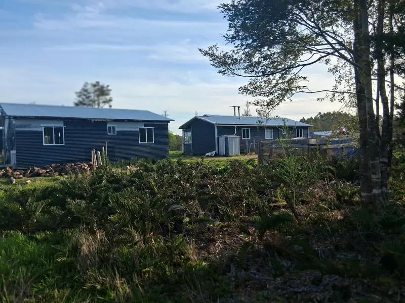 Vista desde el sector de bosque